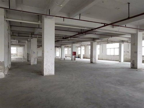 龍州縣幼兒園房屋安全檢測(cè)教育局指定單位 龍州縣今日新聞