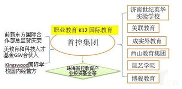 圖文解讀 職業教育與留學服務，上市公司布局全解析